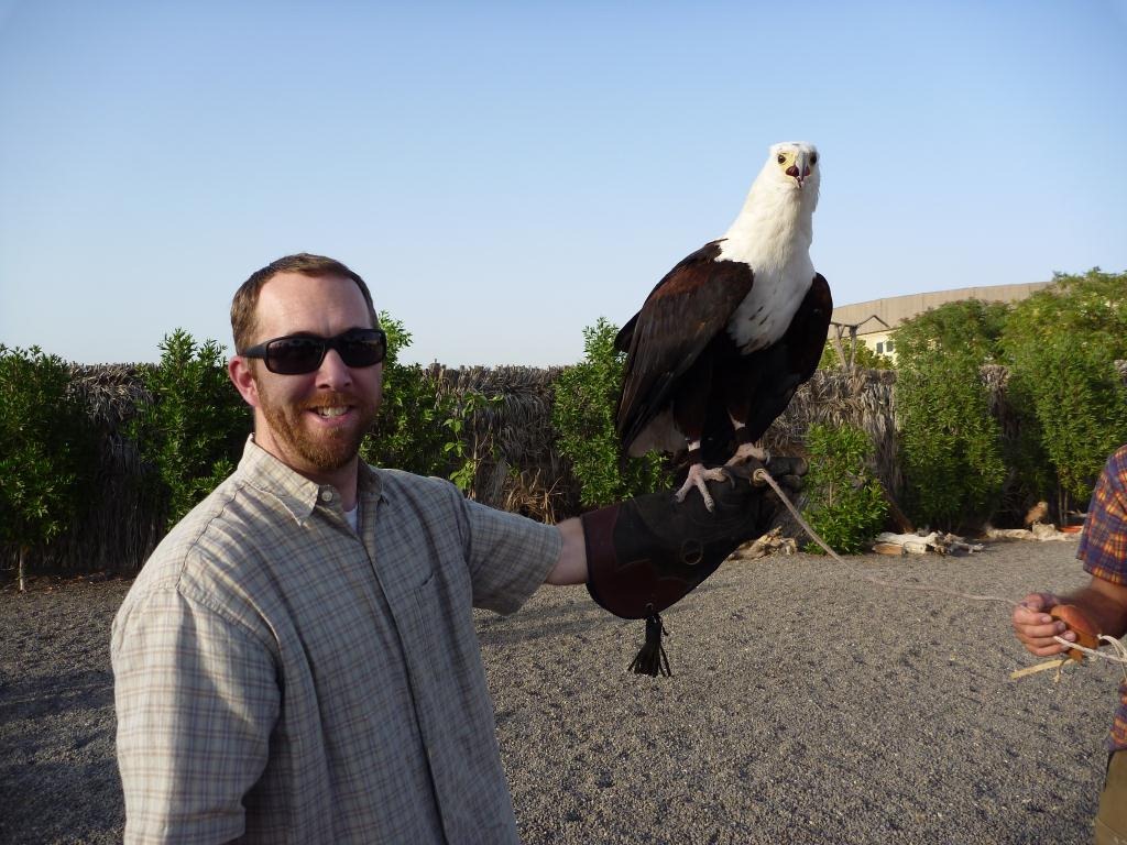 [20110324 [P1020011] - Birds of Prey[5].jpg]
