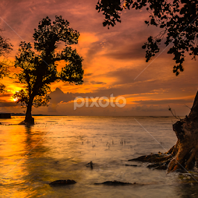 Somewhere between by Jee Cornelius - Landscapes Sunsets & Sunrises