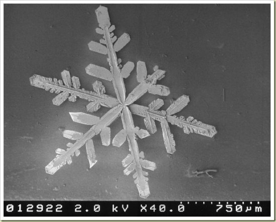 snow_crysyal_under_a_microscope_4-550x443