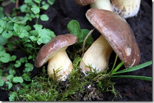 IMG_0899 IMG_0899