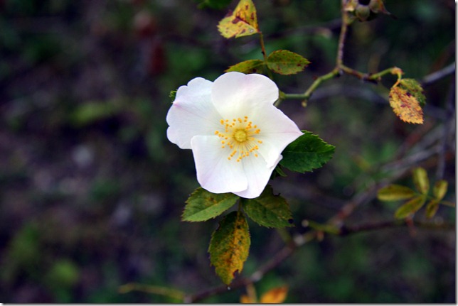 IMG_6710 IMG_6710