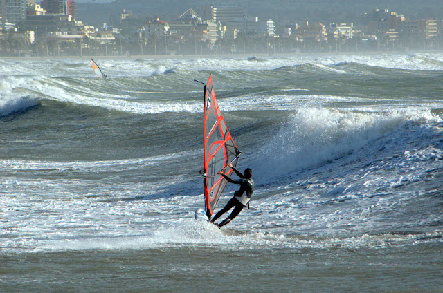 DSC_1013.jpg