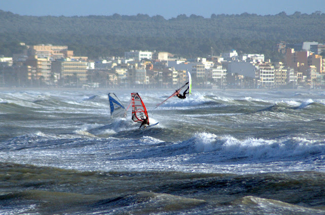 DSC_1104.jpg