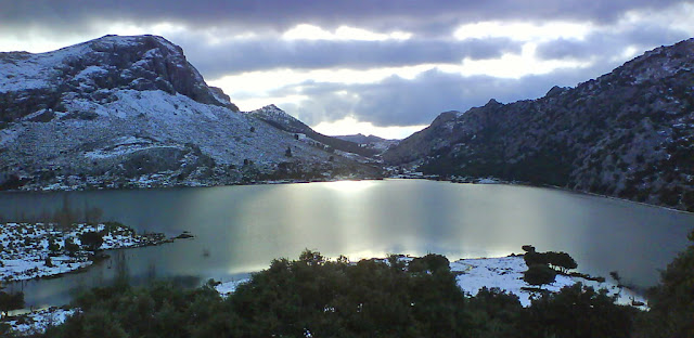 DSC01112.jpg