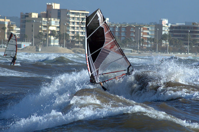 DSC_0240.jpg