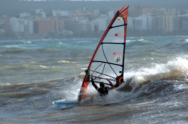 DSC_9950.jpg