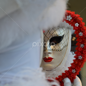 The Carnival of Venice MMXIV by Rotariu Dragos - News & Events World Events