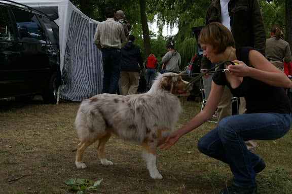 Sz.feh%C3%A9rf%C3%A1r%20CACIB%202009.06.21%20004.jpg