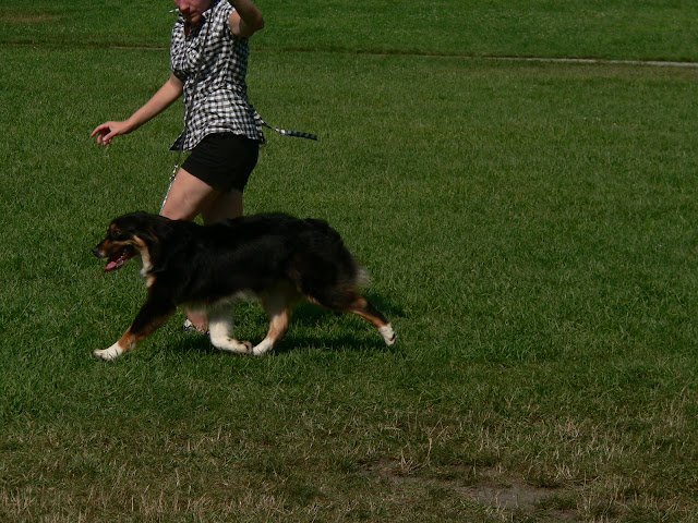 P1240547.JPG