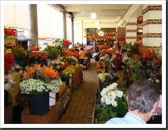 DSC03311-Funchal-marché-aux fleurs BW