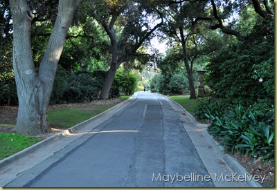 DSC_1157_3025 DSC_1157_3025