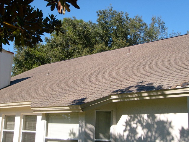 [Tampa Non Pressure Roof Cleaning 009[2].jpg]