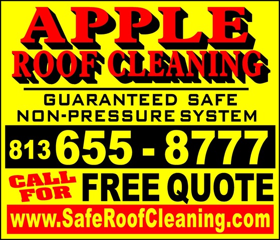 [Tampa Florida Roof Cleaning Sign[5].jpg]