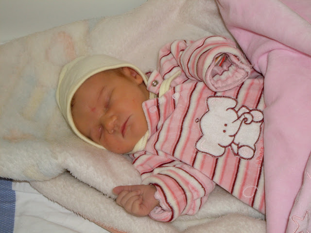 Brigi_k%C3%B3rh%C3%A1z_20100112-15%20060.jpg