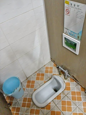 Worlds worst toilets