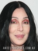 Cher, 2008