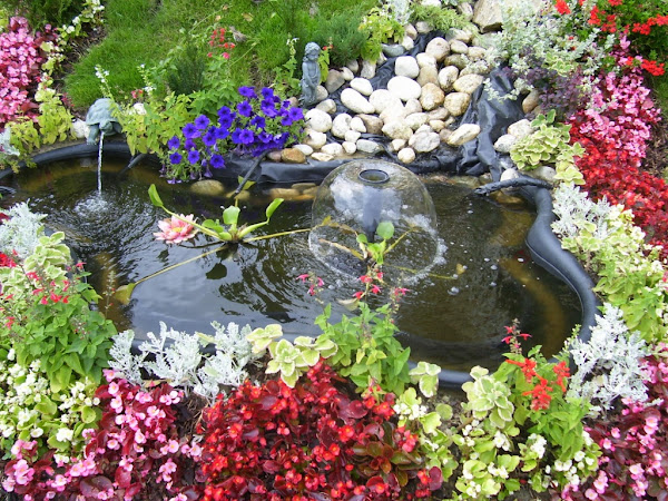 flores-2171.jpg