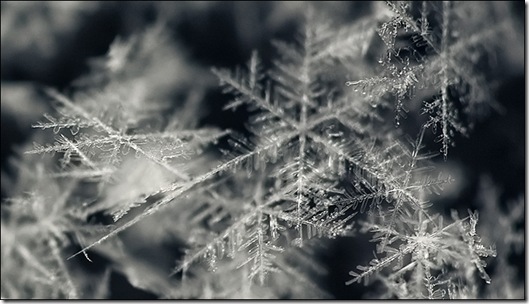 A macro shot of fresh snow falling, taken by the Canon EF 100mm f.28