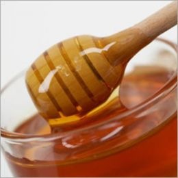 [honey closeup[11].jpg]