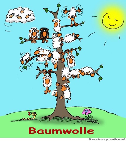 baumwolle_080617_2004