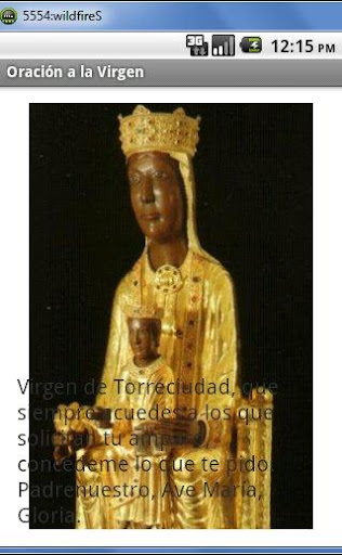 Virgen de Torreciudad