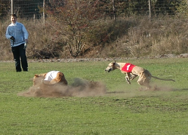 coursing%202009%2010%2030%20158.jpg