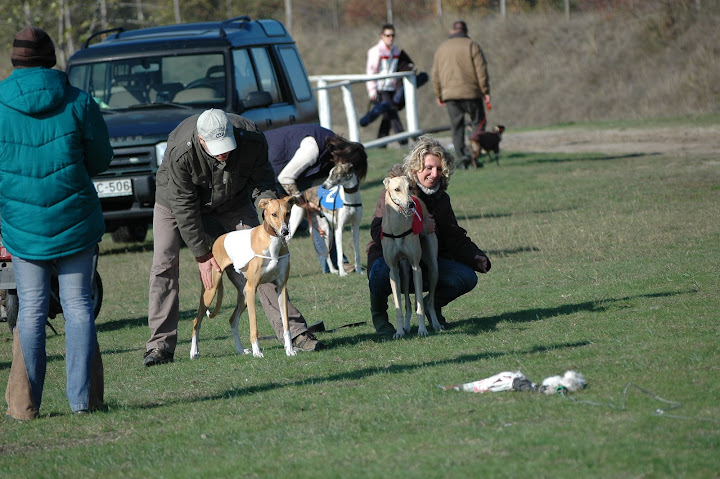 coursing%202009%2010%2030%20008.jpg
