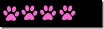 4 paws