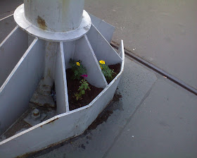 Budapest, blog, Margít-híd, gerilla virágkertészet