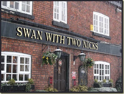 The Swan with Two Nicks in a snow storm