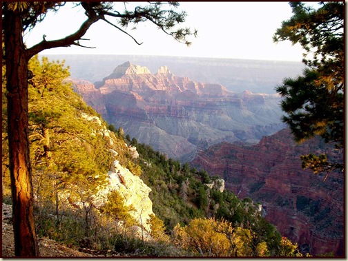 The Grand Canyon, from the North Rim