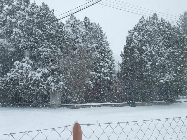 DSCF8365.JPG
