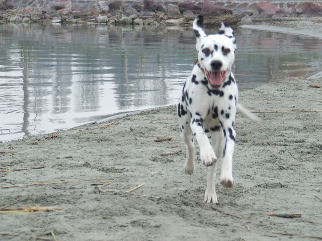 DSCF8154.JPG