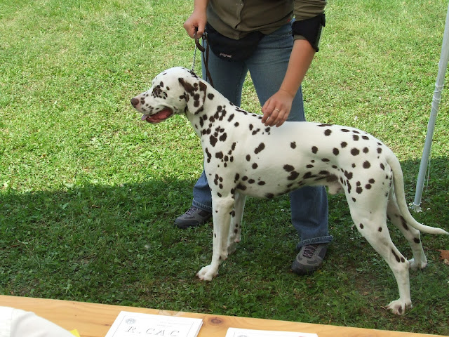 DSCF8948.JPG