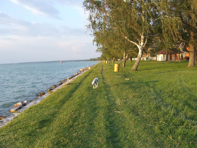 DSCF8937.JPG