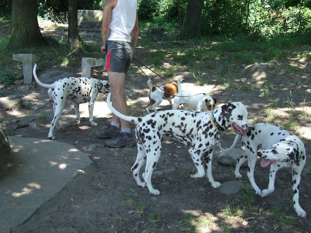 DSCF9464.JPG