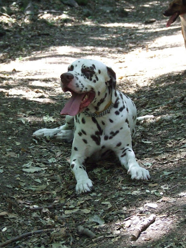 DSCF9466.JPG