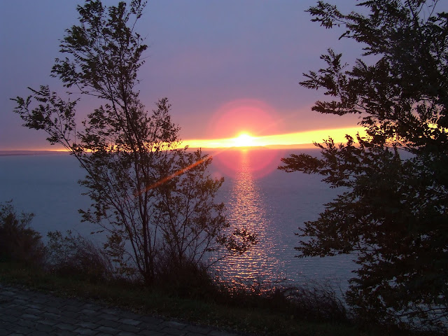 DSCF9530.JPG