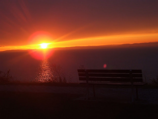 DSCF9536.JPG