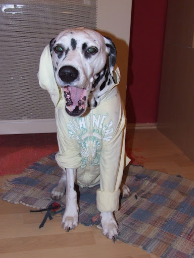 DSCF9541.JPG