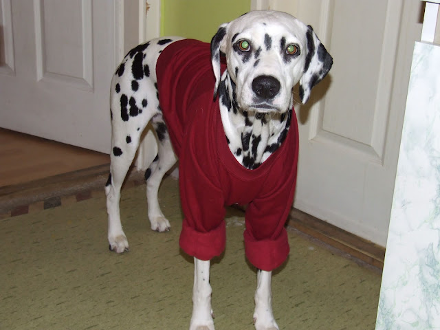 DSCF9547.JPG