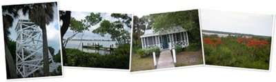 View Cabbage Key