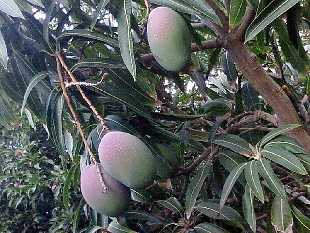 Флешмобильник.