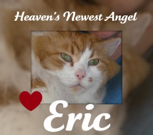 RIP-Eric-2010-08-16-300x265.jpg