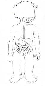 digestivo 1.JPG
