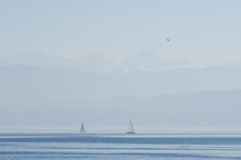 zurich lake (2008)