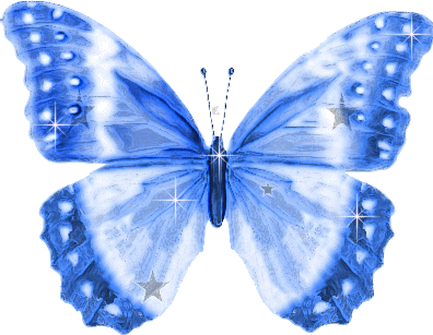 om-butterfly001.png