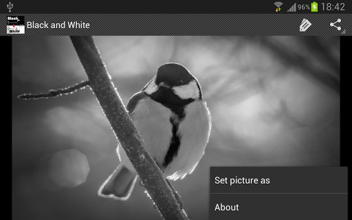 【免費個人化App】Black and White Your WALL...-APP點子