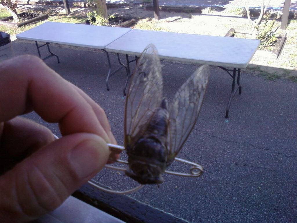 [good morning[1].jpg]