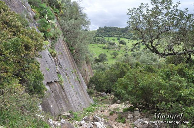 Nacimiento del arroyo Garciago